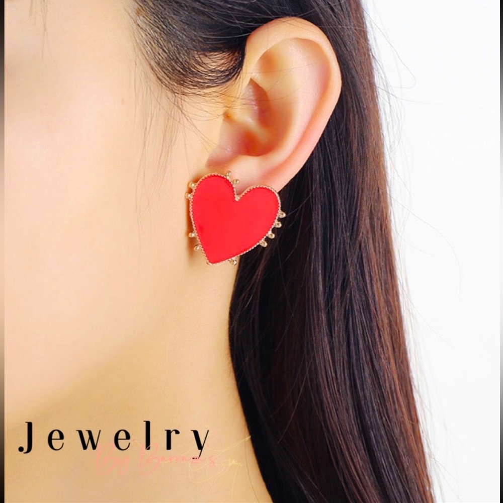 NWT fashion earrings